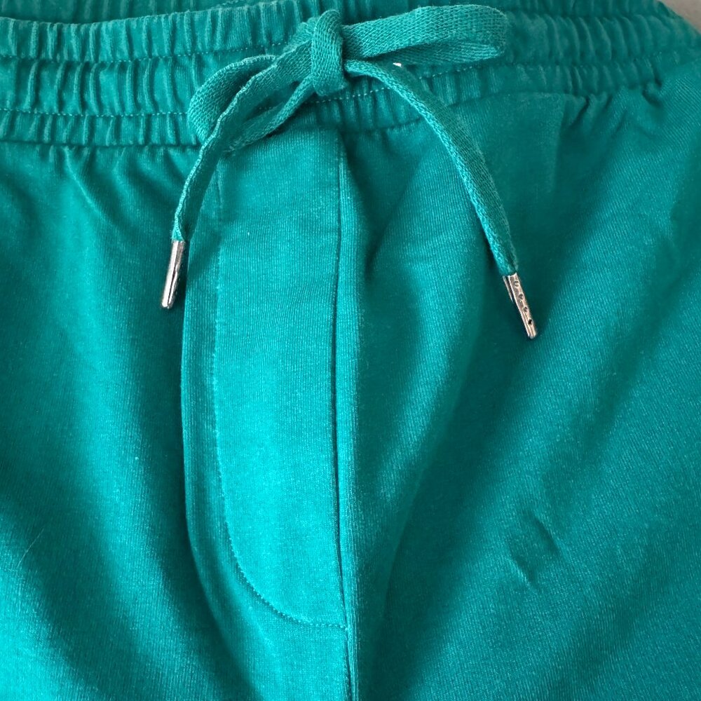 Universal Standard Teal Track Pants
